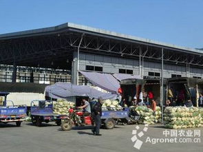 守護菜籃子安全 遼寧超半數蔬菜批發市場實施農殘快速檢測